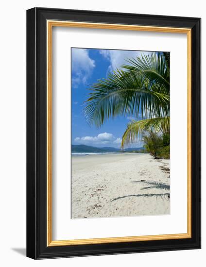 Beautiful Sand Beach, Cape Tribulation, Queensland, Australia, Pacific-Michael Runkel-Framed Photographic Print