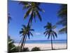 Beautiful Sandy Beach and Palms at Ngazidja, Grand Comore, Comoros, Indian Ocean, Africa-null-Mounted Photographic Print