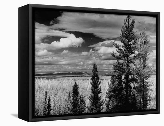 Beautiful Scene of the Countryside as Seen from the Alcan Highway-J^ R^ Eyerman-Framed Premier Image Canvas