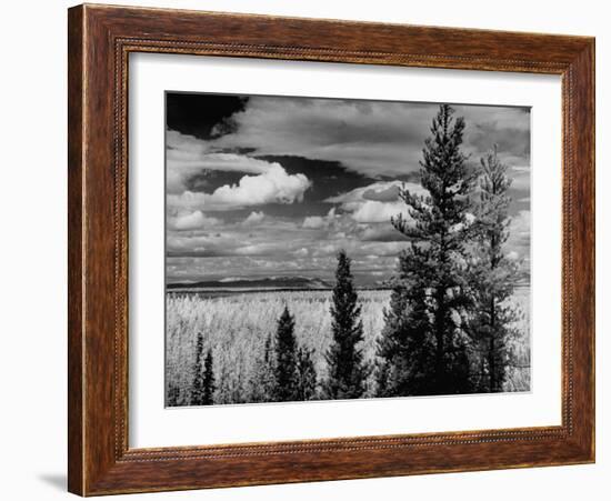 Beautiful Scene of the Countryside as Seen from the Alcan Highway-J^ R^ Eyerman-Framed Photographic Print