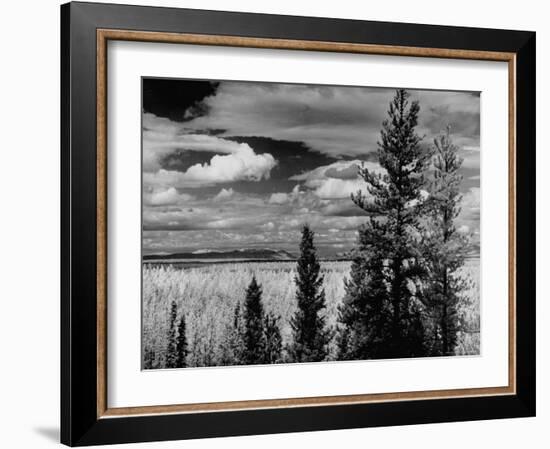 Beautiful Scene of the Countryside as Seen from the Alcan Highway-J^ R^ Eyerman-Framed Photographic Print