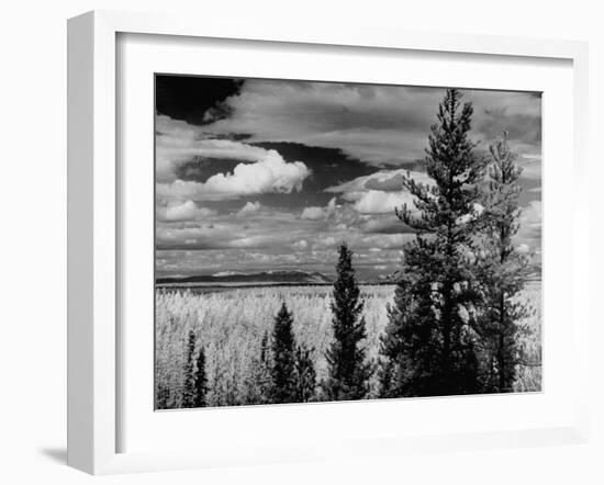 Beautiful Scene of the Countryside as Seen from the Alcan Highway-J^ R^ Eyerman-Framed Photographic Print