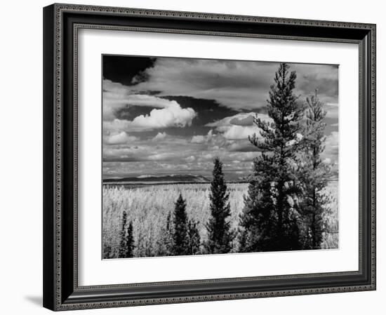 Beautiful Scene of the Countryside as Seen from the Alcan Highway-J^ R^ Eyerman-Framed Photographic Print