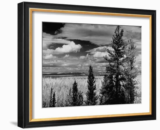 Beautiful Scene of the Countryside as Seen from the Alcan Highway-J^ R^ Eyerman-Framed Photographic Print