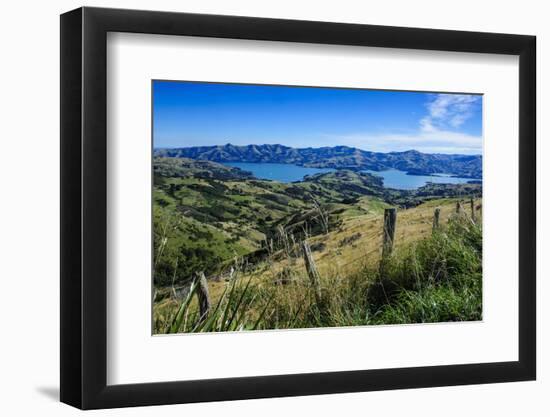 Beautiful Scenery around Akaroa Harbour-Michael-Framed Photographic Print