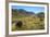 Beautiful Scenery on the Highway around the Lindis Pass, Otago, South Island, New Zealand, Pacific-Michael Runkel-Framed Photographic Print