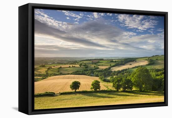 Beautiful Sky Above Summer Countryside, Raddon Hill, Crediton, Devon, England. Summer-Adam Burton-Framed Premier Image Canvas