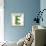 Beautiful Spring Letter "E"-Kesu01-Framed Stretched Canvas displayed on a wall