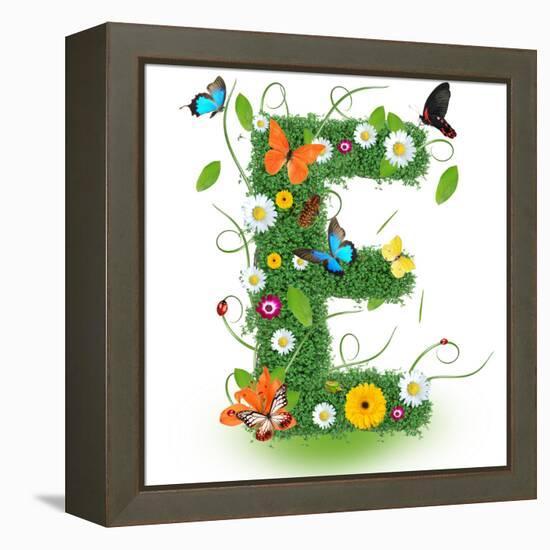 Beautiful Spring Letter "E"-Kesu01-Framed Stretched Canvas