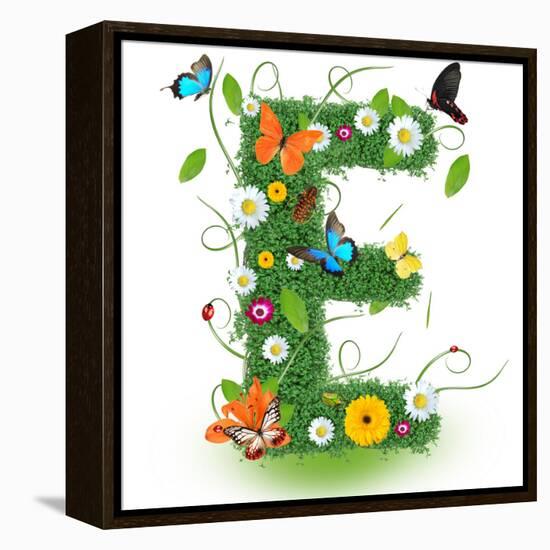 Beautiful Spring Letter "E"-Kesu01-Framed Stretched Canvas