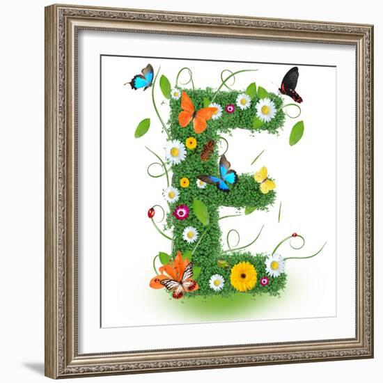 Beautiful Spring Letter "E"-Kesu01-Framed Premium Giclee Print