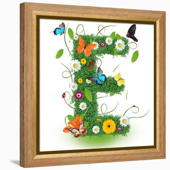 Beautiful Spring Letter "E"-Kesu01-Framed Stretched Canvas