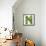 Beautiful Spring Letter "N"-Kesu01-Framed Stretched Canvas displayed on a wall