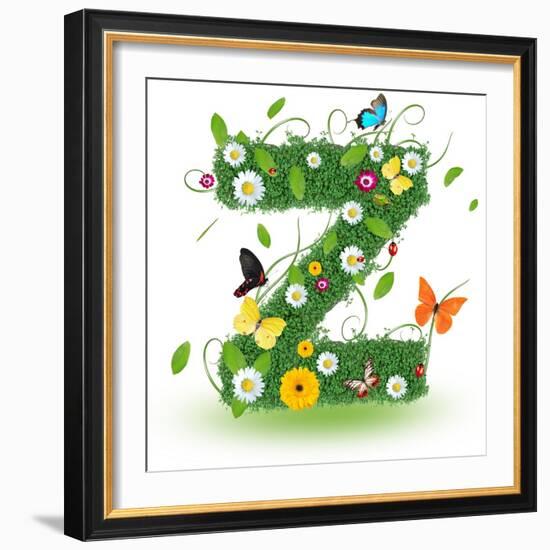 Beautiful Spring Letter "Z"-Kesu01-Framed Premium Giclee Print