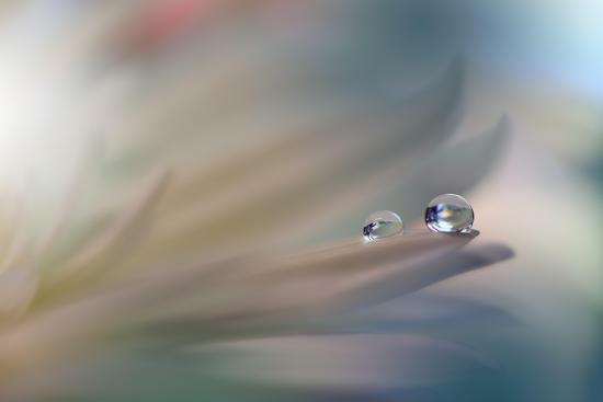 Photo, , large