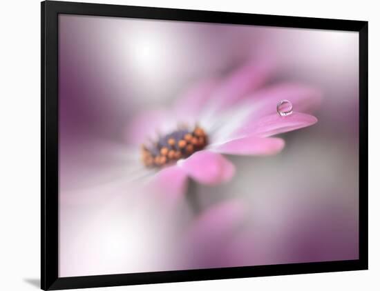 Photo, , large