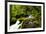 Beautiful stream in the lush Tongass National Forest, Alaska-Mark A Johnson-Framed Photographic Print