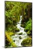 Beautiful stream in the lush Tongass National Forest, Alaska-Mark A Johnson-Mounted Photographic Print