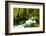 Beautiful stream in the lush Tongass National Forest, Alaska-Mark A Johnson-Framed Photographic Print