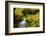 Beautiful stream in the lush Tongass National Forest, Alaska-Mark A Johnson-Framed Photographic Print