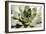 Beautiful Succulent Plant close Up-Yastremska-Framed Photographic Print