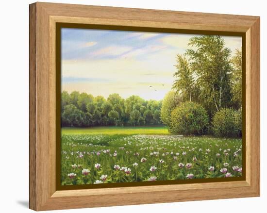 Beautiful Summer Landscape, Canvas, Oil-balaikin2009-Framed Stretched Canvas