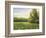 Beautiful Summer Landscape, Canvas, Oil-balaikin2009-Framed Art Print