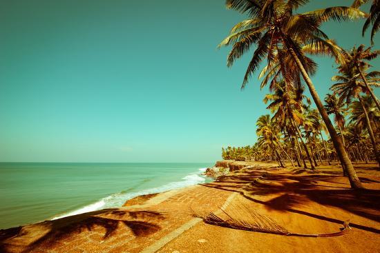 Beautiful Sunny Day At Tropical Beach With Palm Trees Ocean Landscape In Vintage Style India Photographic Print By Im Perfect Lazybones Art Com