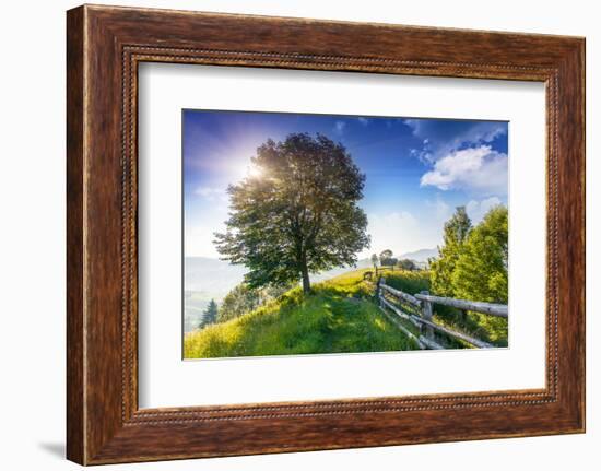 Beautiful Sunny Day is in Mountain Landscape. Carpathian, Ukraine, Europe. Beauty World.-Leonid Tit-Framed Photographic Print