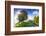 Beautiful Sunny Day is in Mountain Landscape. Carpathian, Ukraine, Europe. Beauty World.-Leonid Tit-Framed Photographic Print