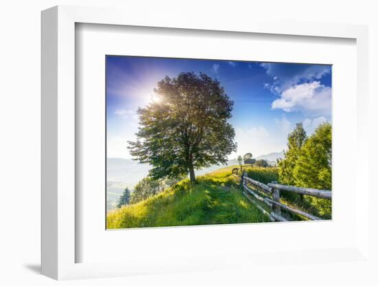 Beautiful Sunny Day is in Mountain Landscape. Carpathian, Ukraine, Europe. Beauty World.-Leonid Tit-Framed Photographic Print