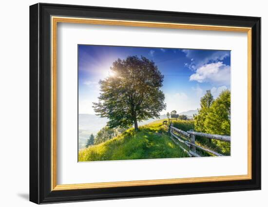 Beautiful Sunny Day is in Mountain Landscape. Carpathian, Ukraine, Europe. Beauty World.-Leonid Tit-Framed Photographic Print