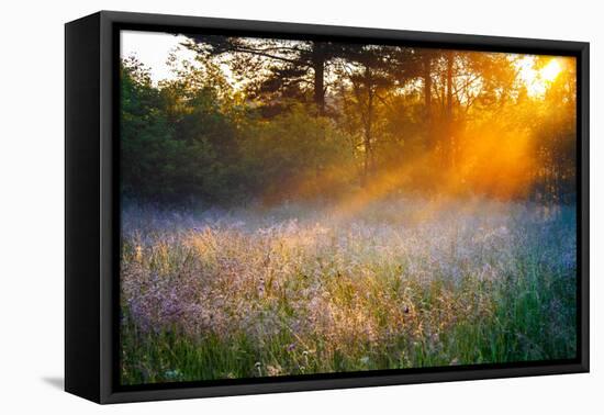 Beautiful Sunrise over a Summer Blossoming Meadow-yanikap-Framed Premier Image Canvas