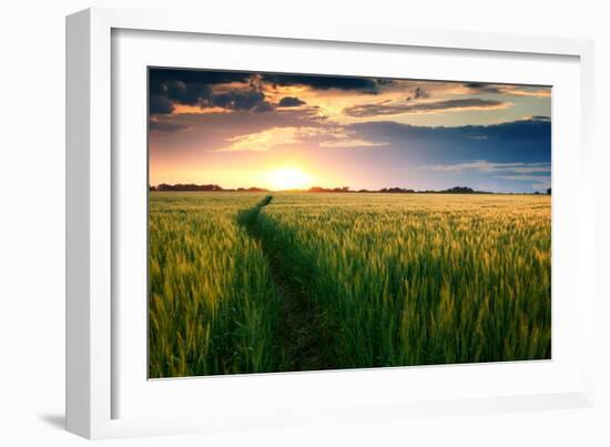 Beautiful Sunset, Field with Pathway to Sun, Green Wheat-Oleg Saenco-Framed Photographic Print