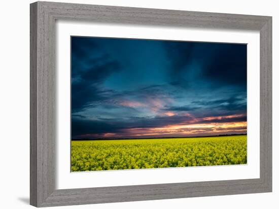Beautiful Sunset in the Field-Oleg Saenco-Framed Photographic Print