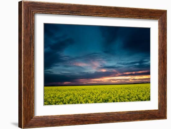 Beautiful Sunset in the Field-Oleg Saenco-Framed Photographic Print