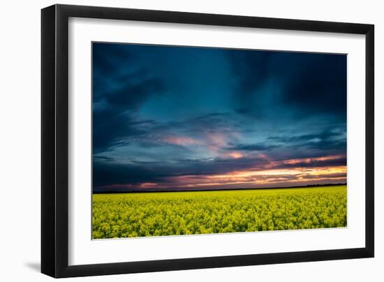 Beautiful Sunset in the Field-Oleg Saenco-Framed Photographic Print