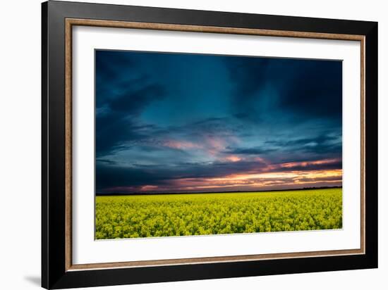 Beautiful Sunset in the Field-Oleg Saenco-Framed Photographic Print