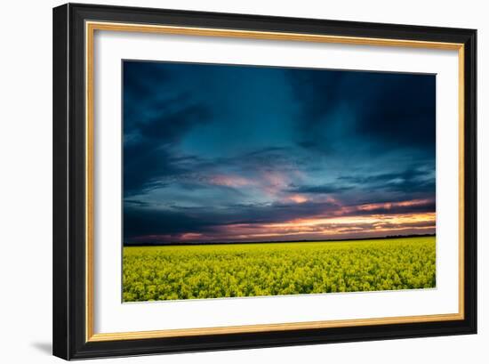 Beautiful Sunset in the Field-Oleg Saenco-Framed Photographic Print