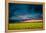 Beautiful Sunset in the Field-Oleg Saenco-Framed Premier Image Canvas