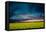 Beautiful Sunset in the Field-Oleg Saenco-Framed Premier Image Canvas