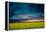 Beautiful Sunset in the Field-Oleg Saenco-Framed Premier Image Canvas