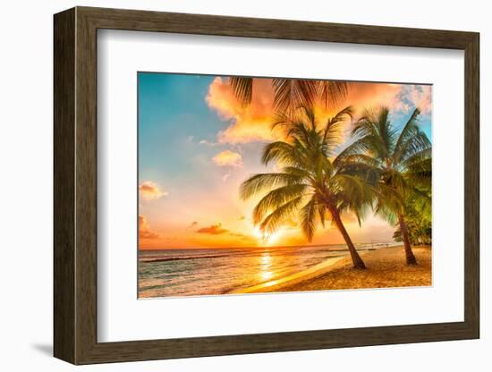 Beautiful Sunset over the Sea with a View at Palms on the White Beach on a Caribbean Island of Barb-Filip Fuxa-Framed Photographic Print