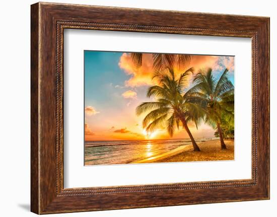 Beautiful Sunset over the Sea with a View at Palms on the White Beach on a Caribbean Island of Barb-Filip Fuxa-Framed Photographic Print