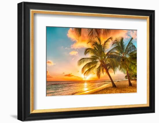 Beautiful Sunset over the Sea with a View at Palms on the White Beach on a Caribbean Island of Barb-Filip Fuxa-Framed Photographic Print