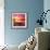 Beautiful Sunset with Colours of Red, Orange and Yellow, over Governors Bay, Looking-Travellinglight-Framed Photographic Print displayed on a wall