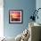 Beautiful Sunset with Colours of Red, Orange and Yellow, over Governors Bay, Looking-Travellinglight-Framed Photographic Print displayed on a wall