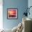 Beautiful Sunset with Colours of Red, Orange and Yellow, over Governors Bay, Looking-Travellinglight-Framed Photographic Print displayed on a wall