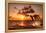 Beautiful Sunset with Dolphins Jumping-balaikin2009-Framed Premier Image Canvas