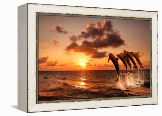 Beautiful Sunset with Dolphins Jumping-balaikin2009-Framed Premier Image Canvas